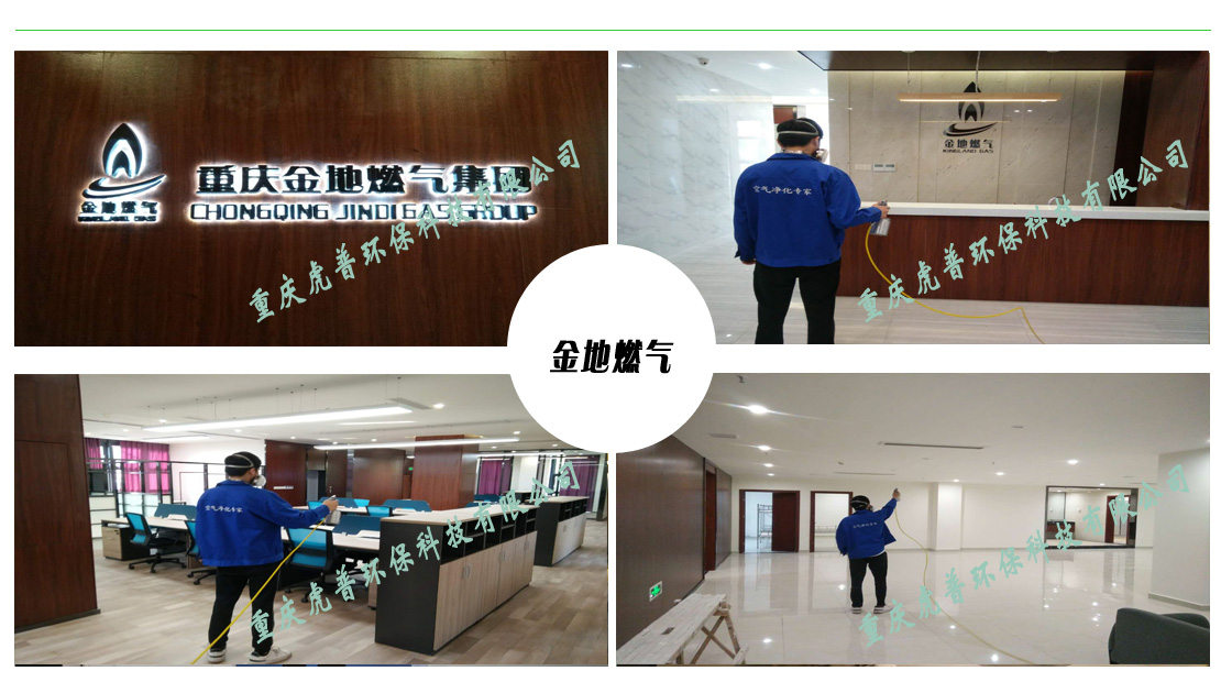 重慶甲醛治理公司 重慶甲醛治理公司